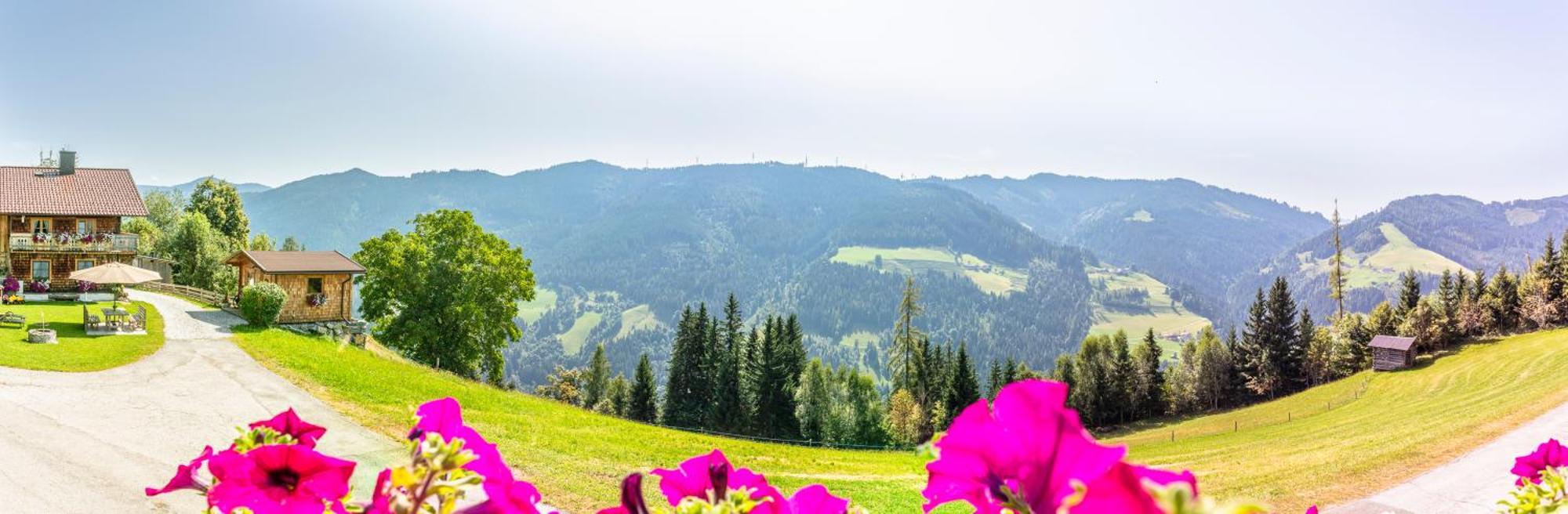 Landhaus Hochkoenig Mühlbach am Hochkönig Kültér fotó