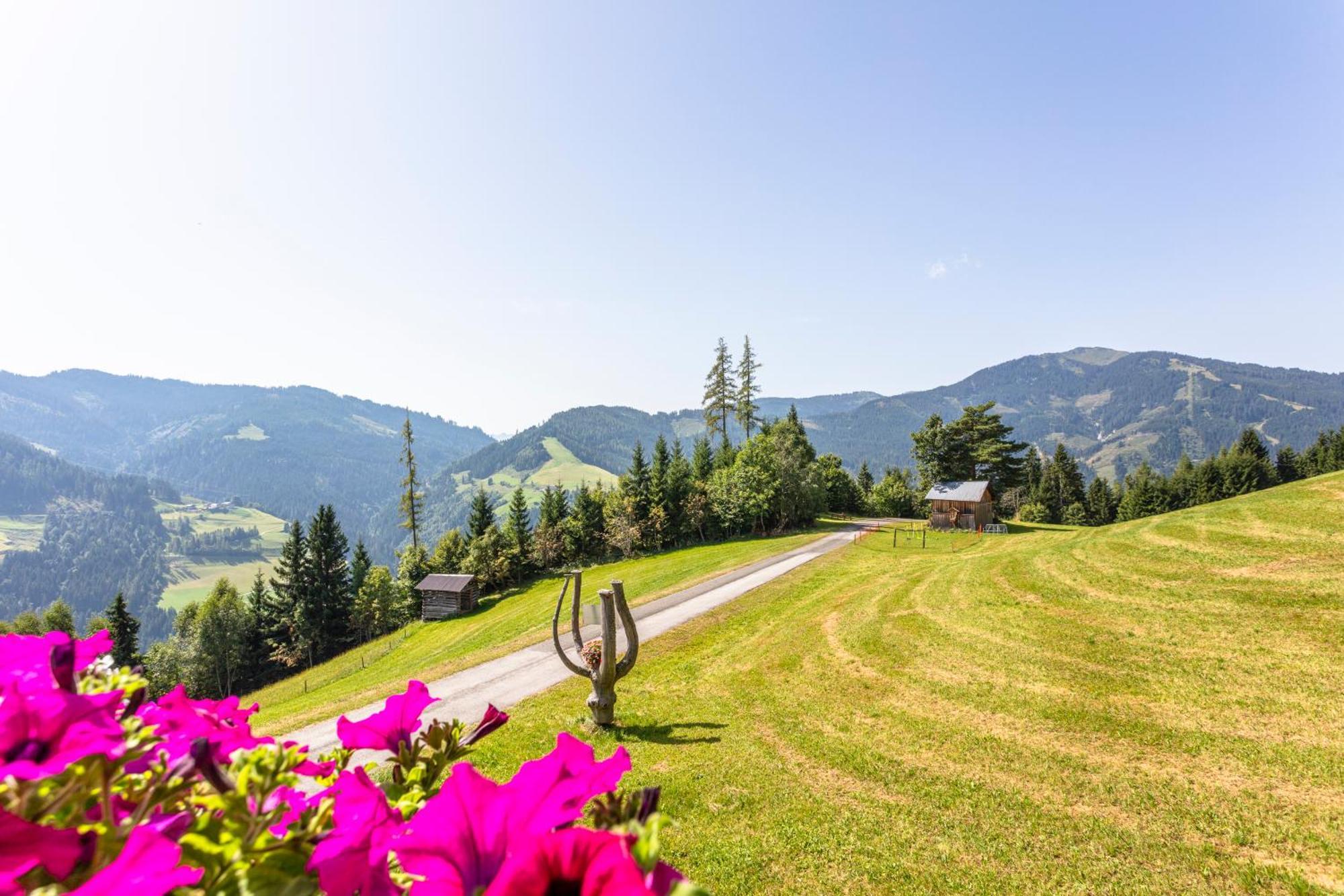 Landhaus Hochkoenig Mühlbach am Hochkönig Kültér fotó